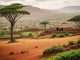 Spännande korsord om folk på Afrikas horn illustration